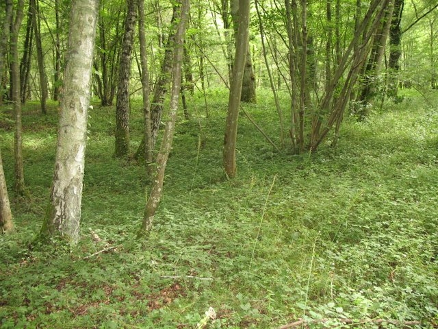 2007 05 Myco avec la SMF 09